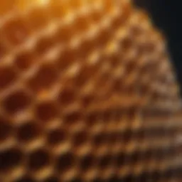 Intricate honeycomb structure showcasing spatial efficiency.
