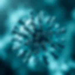 Illustration of Influenza B virus structure.