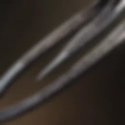 Close-up view of Musashi shears showcasing their craftsmanship