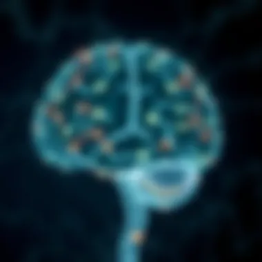 Brain Pathways Affected by Organic Antidepressants Schematic representation of brain pathways affected by organic antidepressants