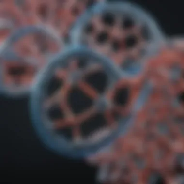 Close-up of polymer structures at the molecular level