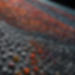 Diverse types of polymeric materials displayed