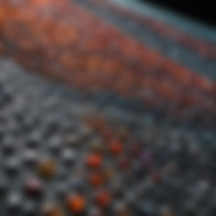 Diverse types of polymeric materials displayed