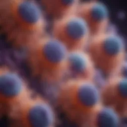 Pancreatic cancer cells under a microscope