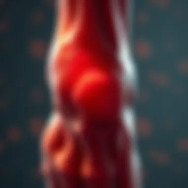 Exploring the Dynamics of Arthritis: Understanding Spread and Implications Summary