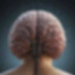 Neuroimaging technology showcasing brain activity patterns