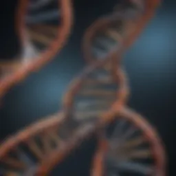 DNA double helix structure