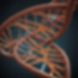 Molecular structure of DNA showing its double helix formation
