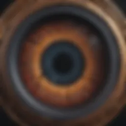 A high-resolution ultra widefield image showcasing the intricacies of retinal structures.