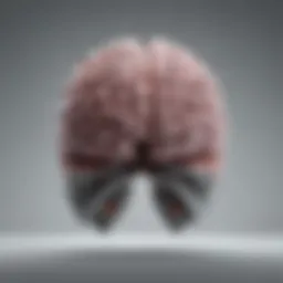 Visual representation of cognitive wellness and brain function