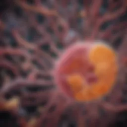 Illustration of gut microbiota diversity