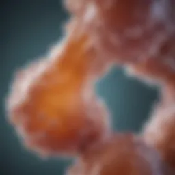 Molecular structure of ferulic acid illustrating its chemical properties