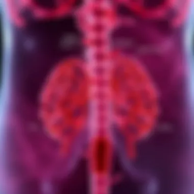 FGFR Signaling Pathways in Bladder Cancer Diagram illustrating FGFR signaling pathways in bladder cancer.