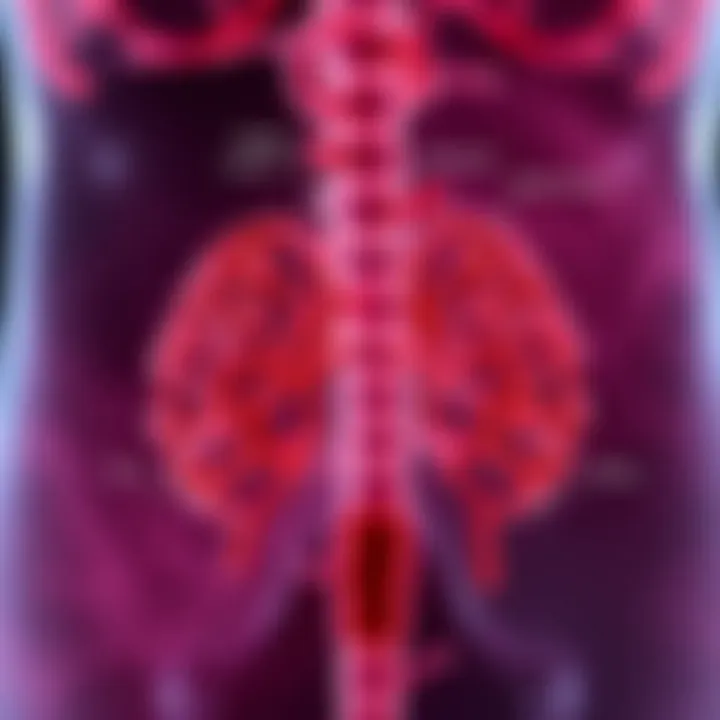 FGFR Signaling Pathways in Bladder Cancer Diagram illustrating FGFR signaling pathways in bladder cancer.