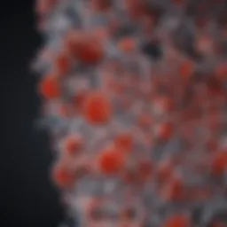 Molecular structure of folate
