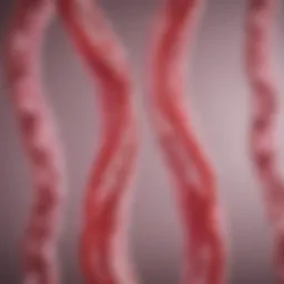 Chromosomal analysis of miscarriage tissue