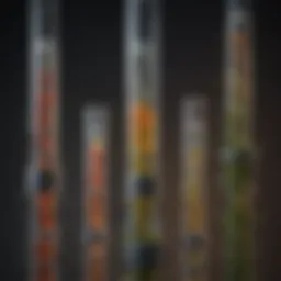 A diagram illustrating the biological mechanisms responsible for height growth