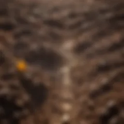 Illustration of soil temperature variations