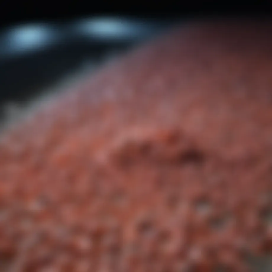 Graph illustrating survival rates with ibrutinib treatment