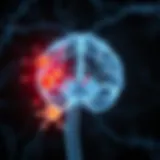 Illustration depicting the central nervous system with highlighted immune responses.