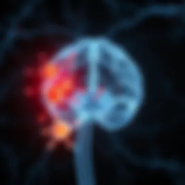Illustration depicting the central nervous system with highlighted immune responses.