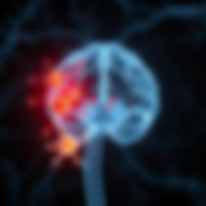 Illustration depicting the central nervous system with highlighted immune responses.