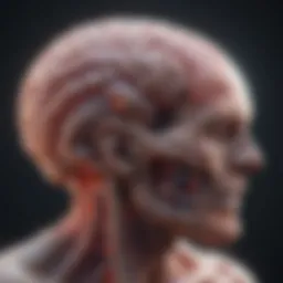 Illustration of brain scan highlighting metastatic lesions