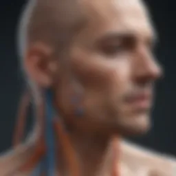 A detailed diagram showcasing the interconnectedness of various physiological systems.