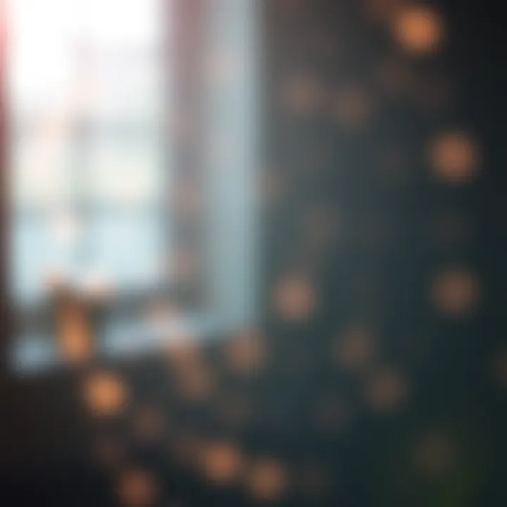 Understanding the Link Between Lupus and Bone Health An illustration depicting the connection between lupus and bone health