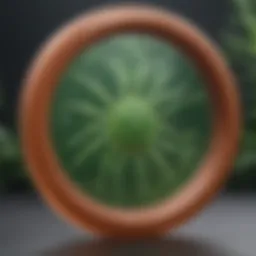 A detailed illustration of the Lyme disease bacterium