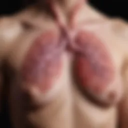 Illustration of breast cancer metastasis to the lungs