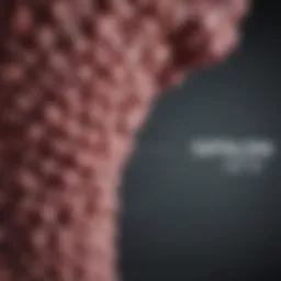 Graph showing survival rates of metastatic papillary thyroid cancer over time