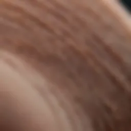 Detailed view of hair shaft under microscope