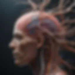 Neural pathways illustrating brain recovery