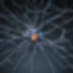 Neuronal network illustrating motor neuron connections