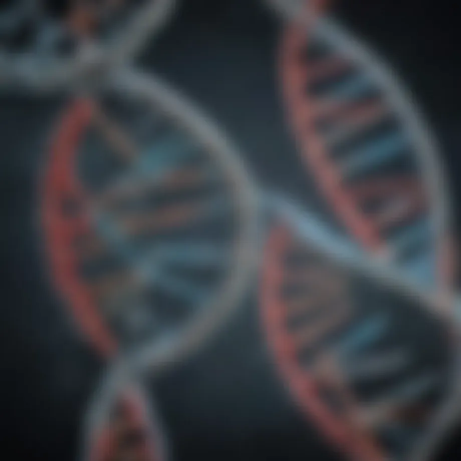 Visual representation of DNA strands