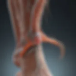 Nerve pathways affected by diabetic neuropathy