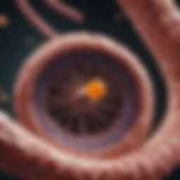 A visual representation of colorectal cancer screening technologies