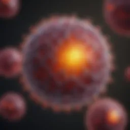 Illustration of P. Vera cellular characteristics