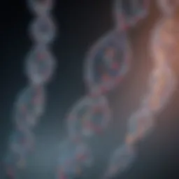 DNA strands representing genetic variation