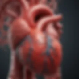 Diagram illustrating the physiological mechanisms of heart mass.