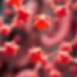 Representation of Probiotics K12 and M18 in gut health