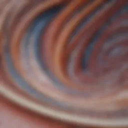 Detailed illustration of enamel structure highlighting its layers and composition