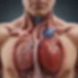 An illustration depicting the anatomy of the heart highlighting atrial fibrillation