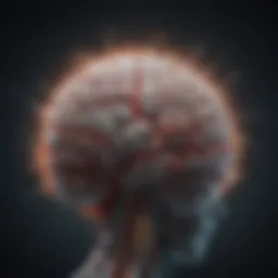 Representation of neuroplasticity in the brain