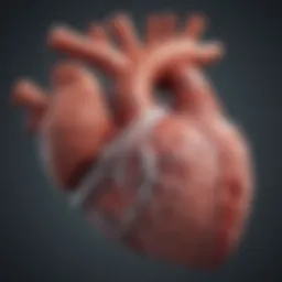 Illustration of heart muscle regeneration mechanisms