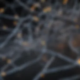 Illustration of rubber molecular structure highlighting conductive pathways