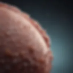 Stage 1 Prostate Cancer Prognosis: Insights and Implications Introduction