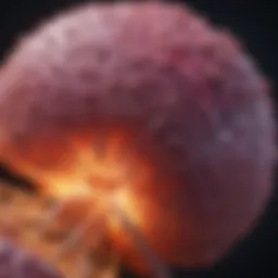 Stage 4 Metastatic Pancreatic Adenocarcinoma: An In-Depth Analysis Introduction