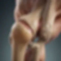 Conceptual illustration of knee joint with osteoarthritis